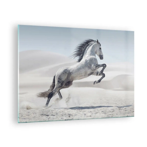 Obraz na skle - Bílý kůň skákající na pozadí pouštních dun - 70x50cm - Arabský kníže - Moderní nástěnná dekorace do obývacího pokoje a ložnice ARTTOR