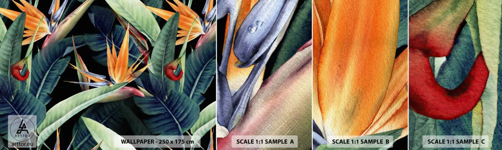 Vzor Fototapety Samolepicí Deluxe Sticker - Plamenné květy tropů - Královská Strelitzia, Květ, Afrika - 100x30 cm