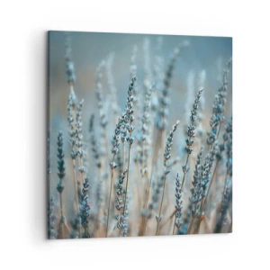 Obraz na plátně - Voňavý lán - 50x50 cm
