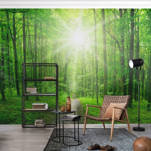 Fototapeta Standard Eco - Zelená katedrála - Krajina, Les, Paprsky slunce - 350x256 cm