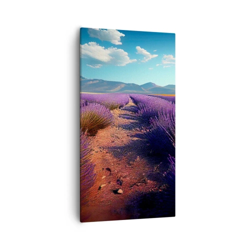 Obraz na plátně - Voňavá pole - 55x100 cm
