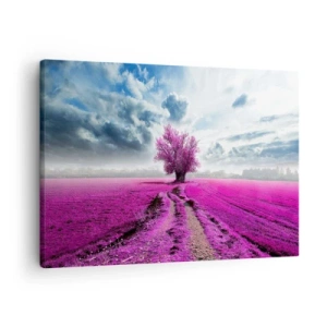 Obraz na plátně - Osamělý strom v poli v odstínu sytě růžové - 70x50cm - Vřesoviště - divočina - Moderní nástěnná dekorace do obývacího pokoje a ložnice ARTTOR