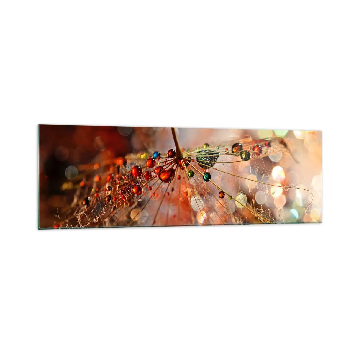 Obraz na skle - Navlečeno na pavučinu - 160x50 cm