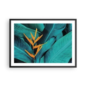 Plakát v černém rámu - Rajský květ - 70x50 cm
