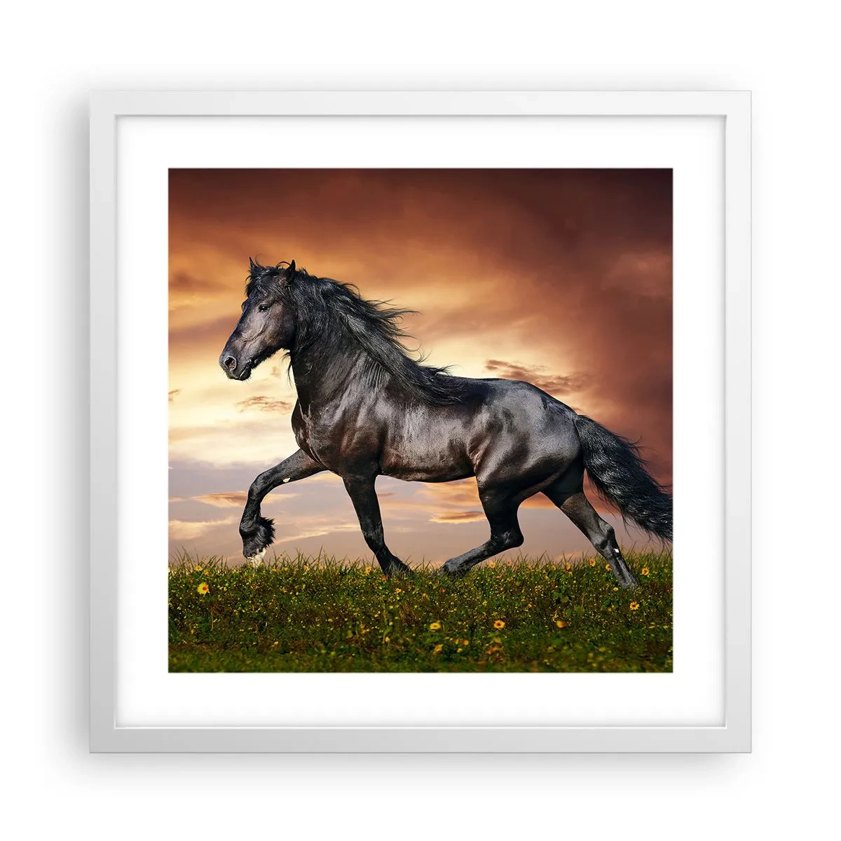 Plakát v bílém rámu - Černý kníže - 40x40 cm