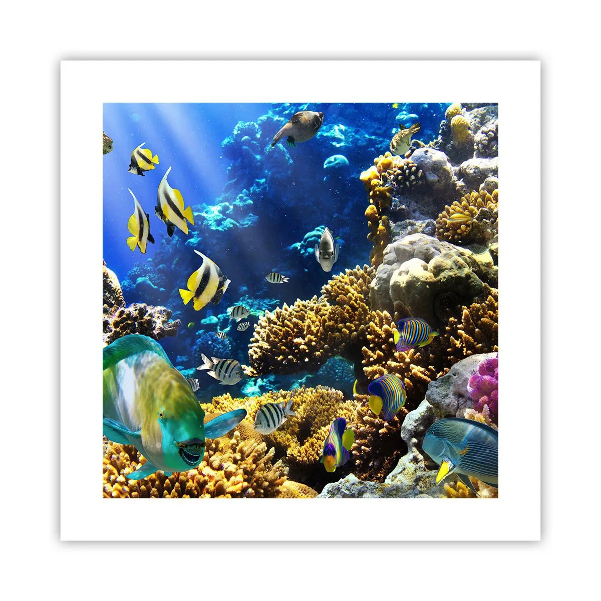 Plakát - Velký provoz na prázdninové stezce - 40x40 cm