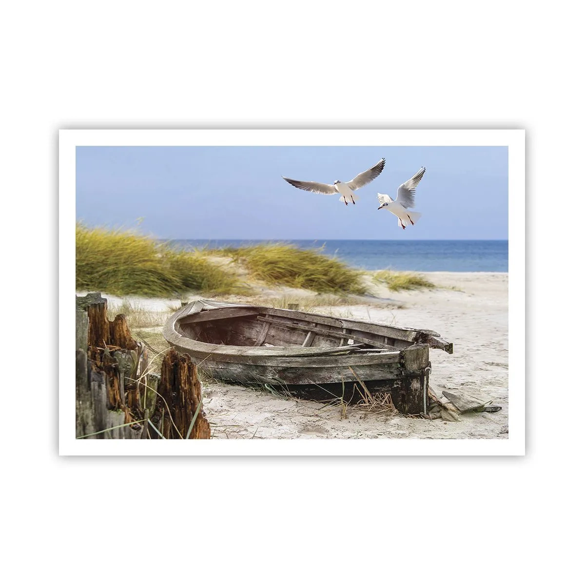 Plakát - Větrem ozářené - 100x70 cm