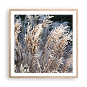 Plakát v rámu světlý dub - Mrazem pokryté - 60x60 cm
