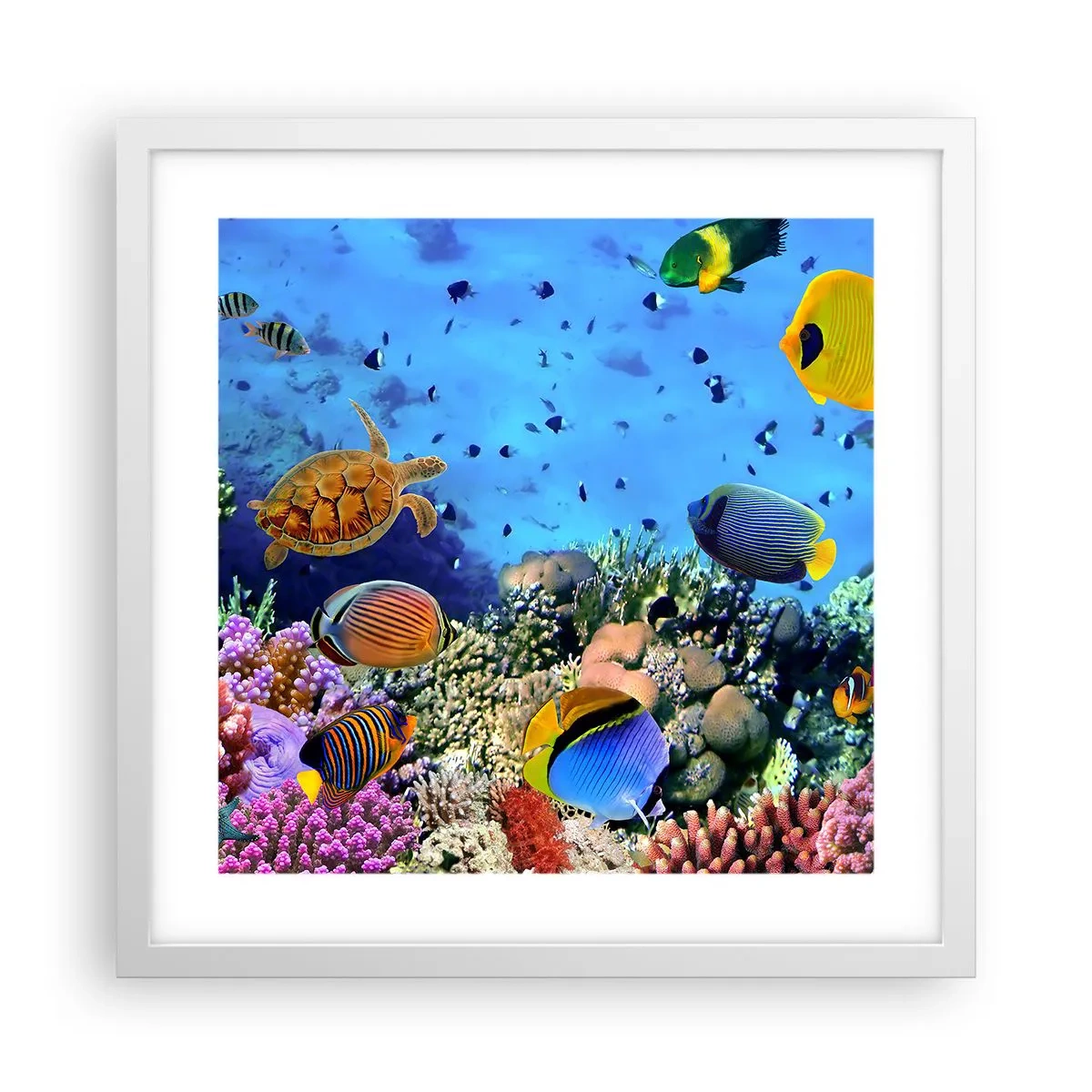 Plakát v bílém rámu - Co víme o životě… - 40x40 cm