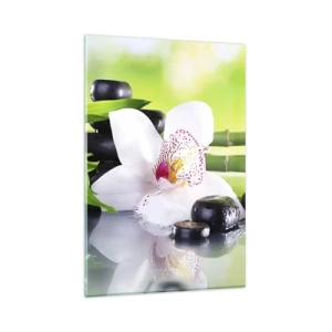 Obraz na skle - Chladná svěžest - 80x120 cm