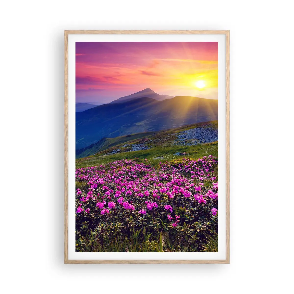 Plakát v rámu světlý dub - …A kolem voní kosodřevina a voní byliny - 70x100 cm