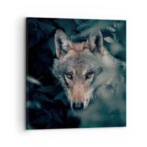 Obraz na plátně - Predátor - 70x70 cm