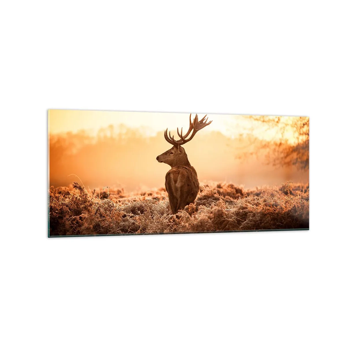 Obraz na skle - Pán na panství - 120x50 cm