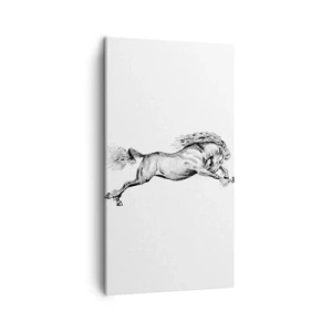 Obraz na plátně - Zastavený v cvalu - 45x80 cm