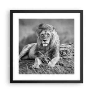 Plakát v černém rámu - Královská siesta - 40x40 cm