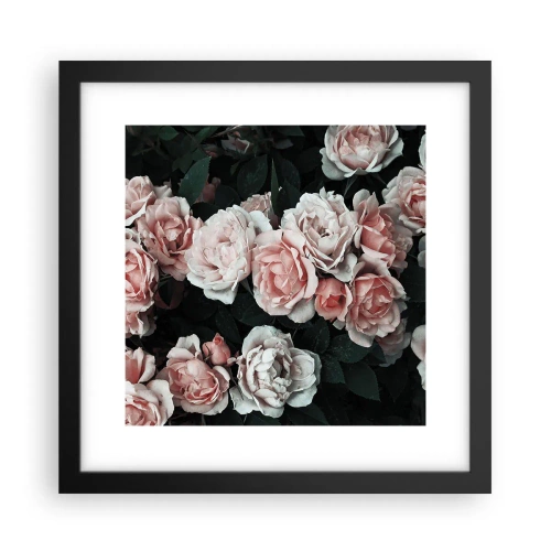 Plakát v černém rámu - Růžový ansámbl - 30x30 cm