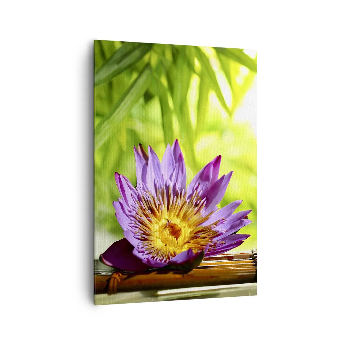 Obraz na plátně - Na asijském slunci - 70x100 cm