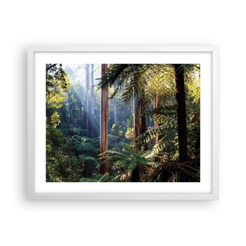 Plakát v bílém rámu - Povídka lesa - 50x40 cm