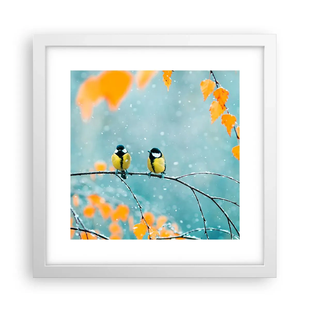 Plakát v bílém rámu - Ptačí drby - 30x30 cm