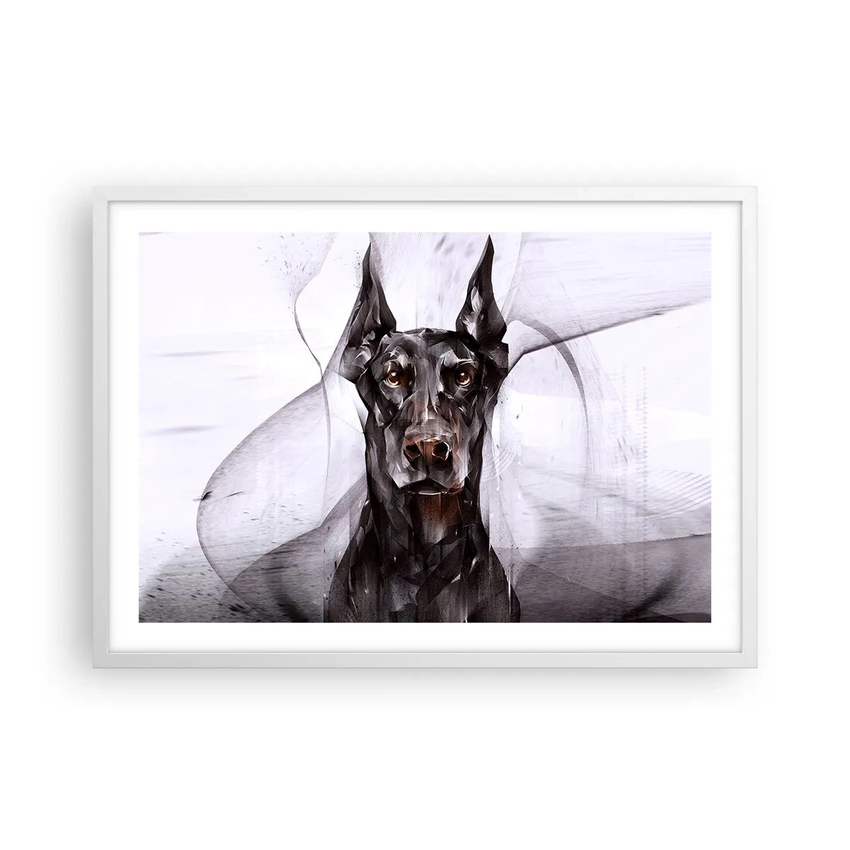 Plakát v bílém rámu - Z urozeného rodu - 70x50 cm