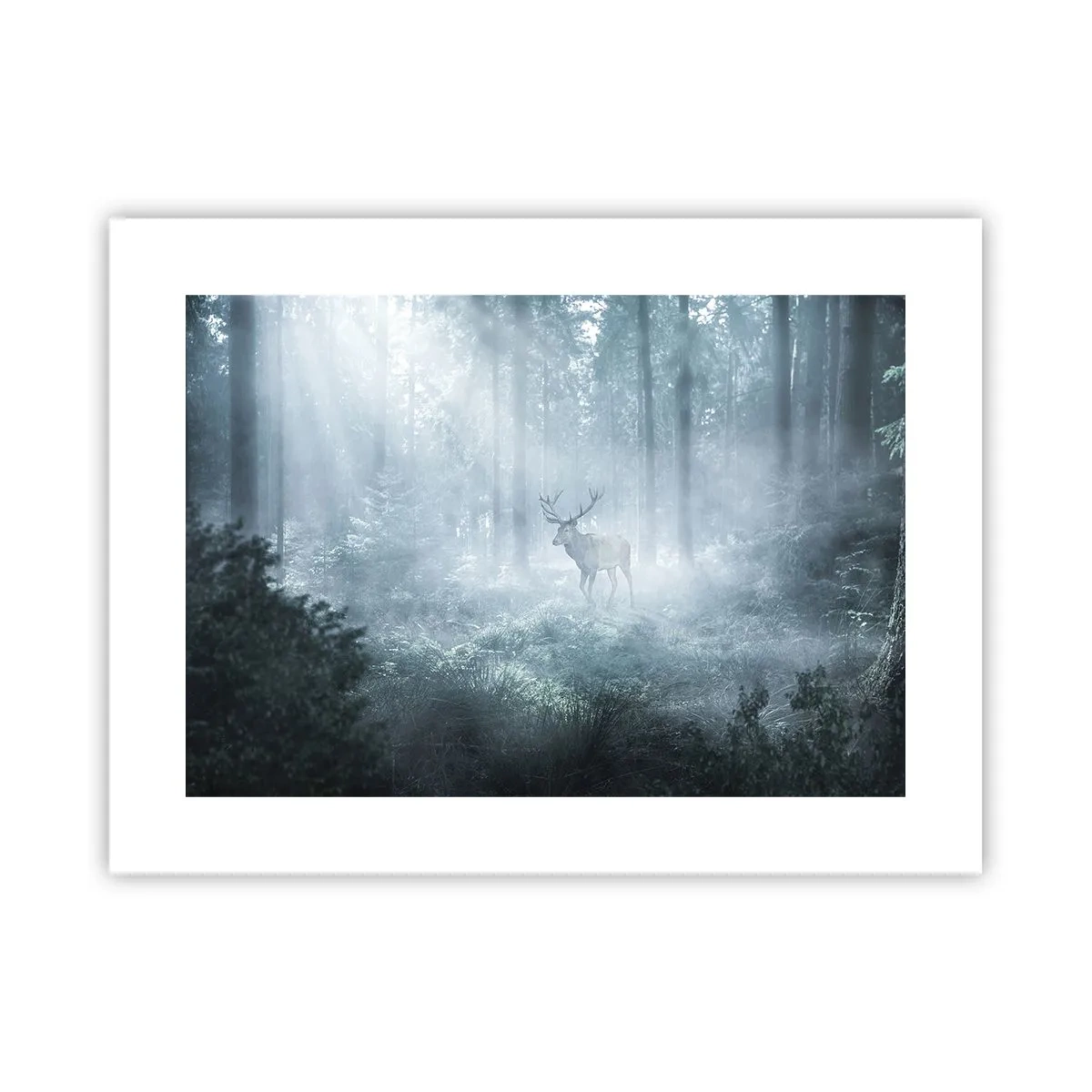 Plakát - Ranní obchůzka sídliště - 40x30 cm