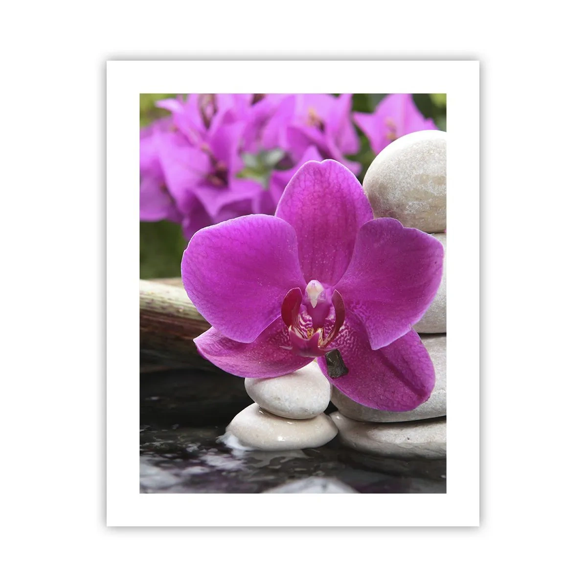 Plakát - Už odpočíváš - 40x50 cm