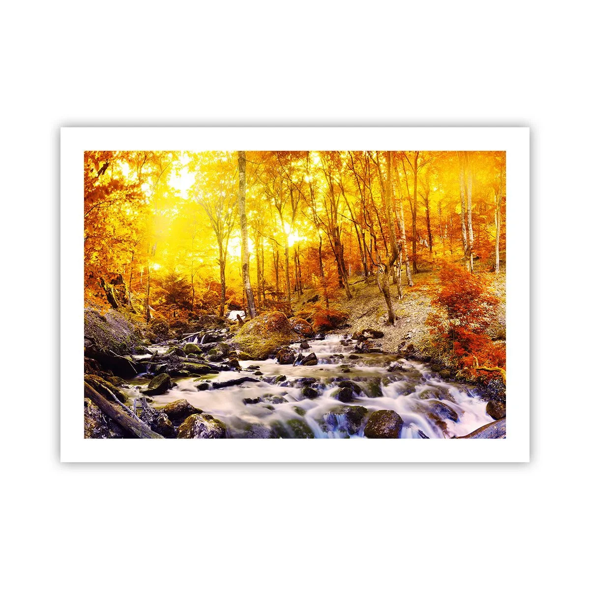 Plakát - Kameny zasazené do zlata a platiny - 70x50 cm