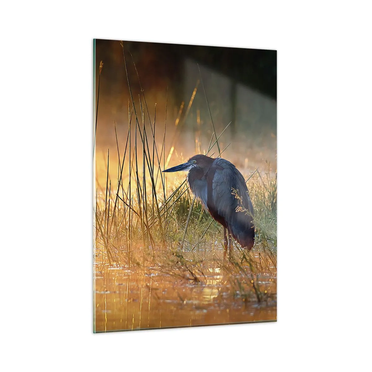 Obraz na skle - Ušetřete mě těch fotek - 50x70 cm