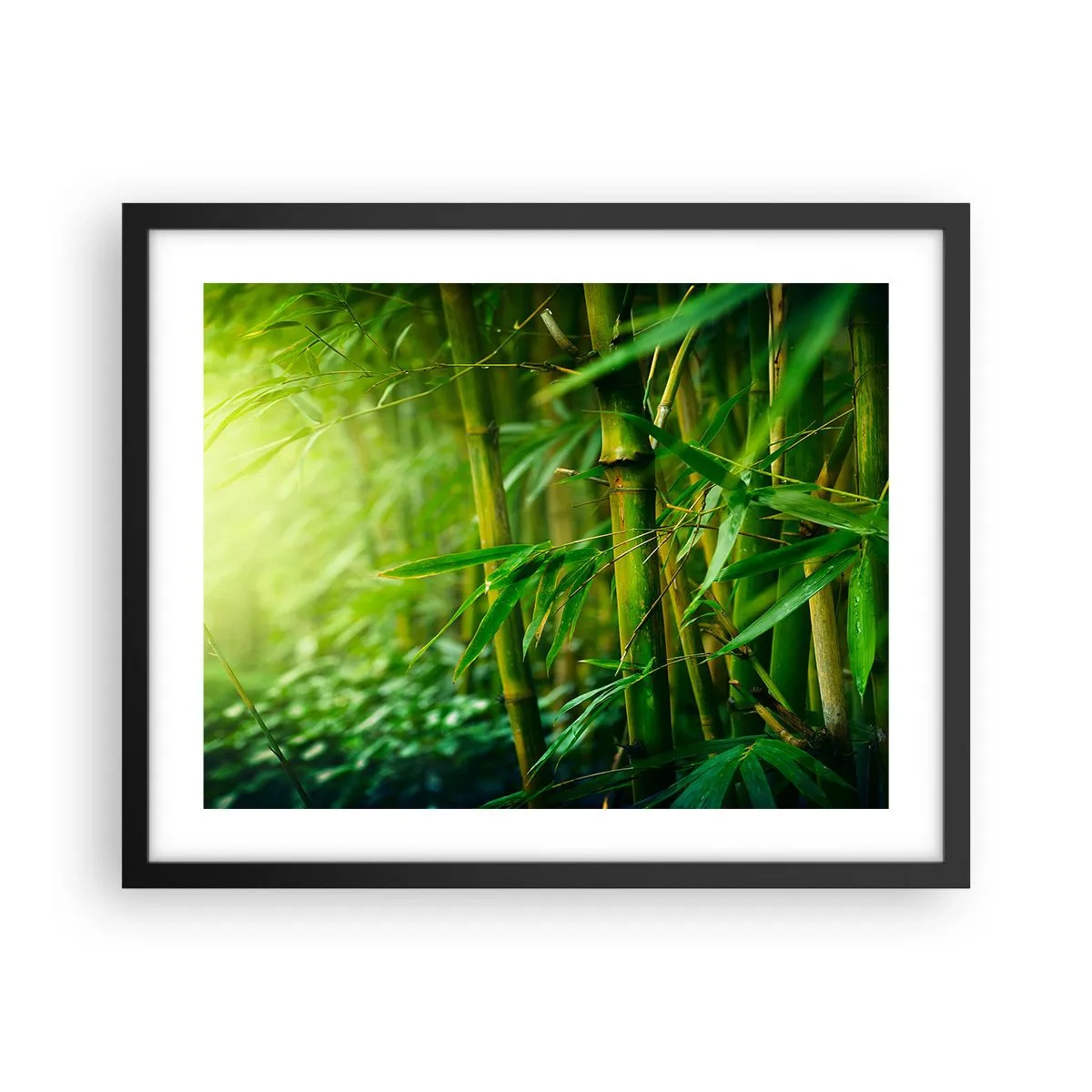 Plakát v černém rámu - Poznat samotnou zeleň - 50x40 cm