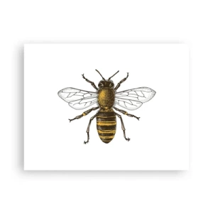 Plakát - Krásná a dobrá - 40x30 cm