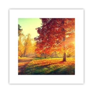 Plakát - Rudé je krásné - 30x30 cm