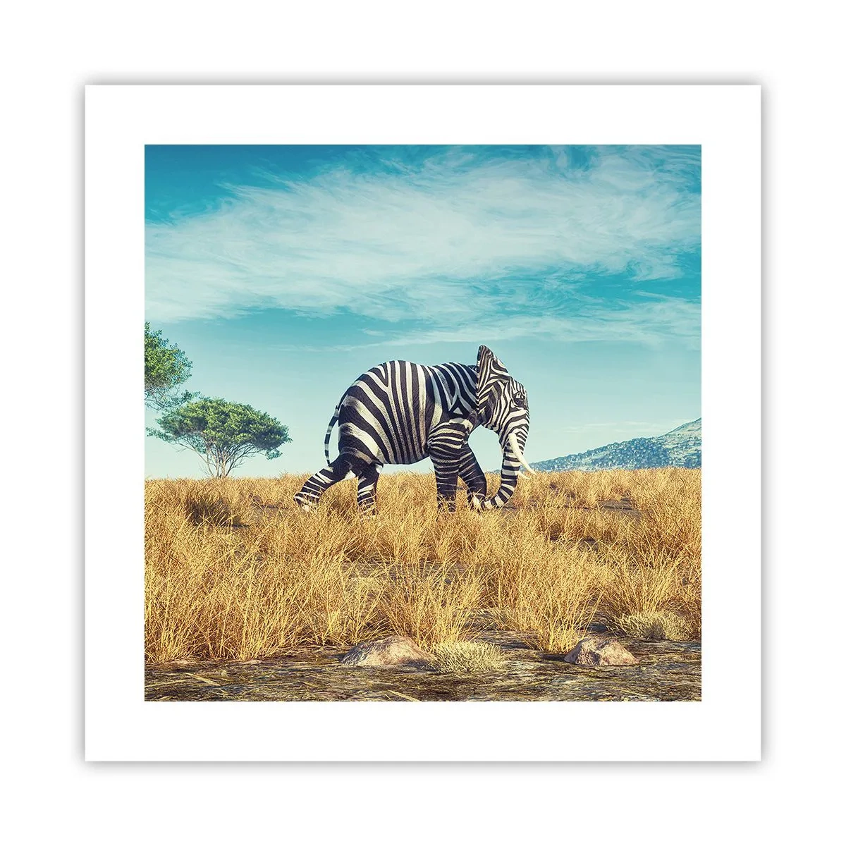 Plakát - Šedá už není v módě - 40x40 cm