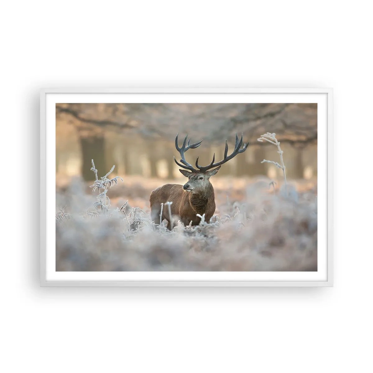 Plakát v bílém rámu - Svěží ráno - 91x61 cm