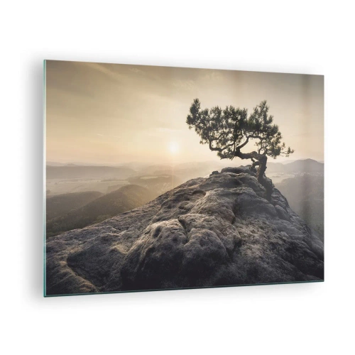 Obraz na skle - Strom na skále ve světle vycházejícího slunce - 70x50cm - Život vždy vítězí - Moderní nástěnná dekorace do obývacího pokoje a ložnice ARTTOR