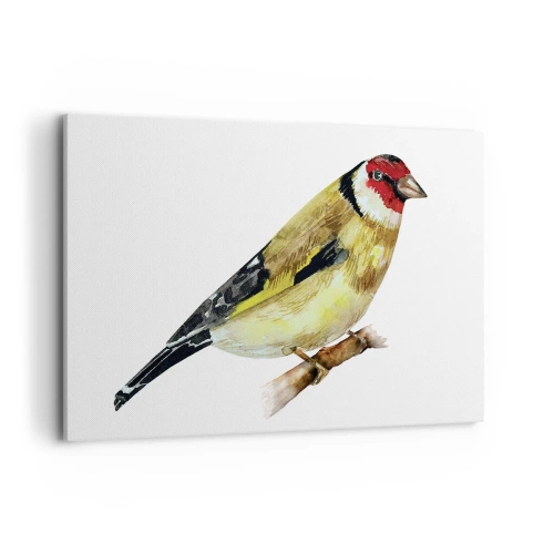 Obraz na plátně - Ptáčí portrét - 120x80 cm