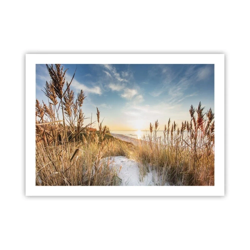 Plakát - Severní pláž - 70x50 cm