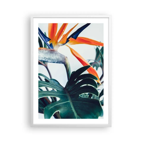 Plakát v bílém rámu - Ptákeř - 50x70 cm