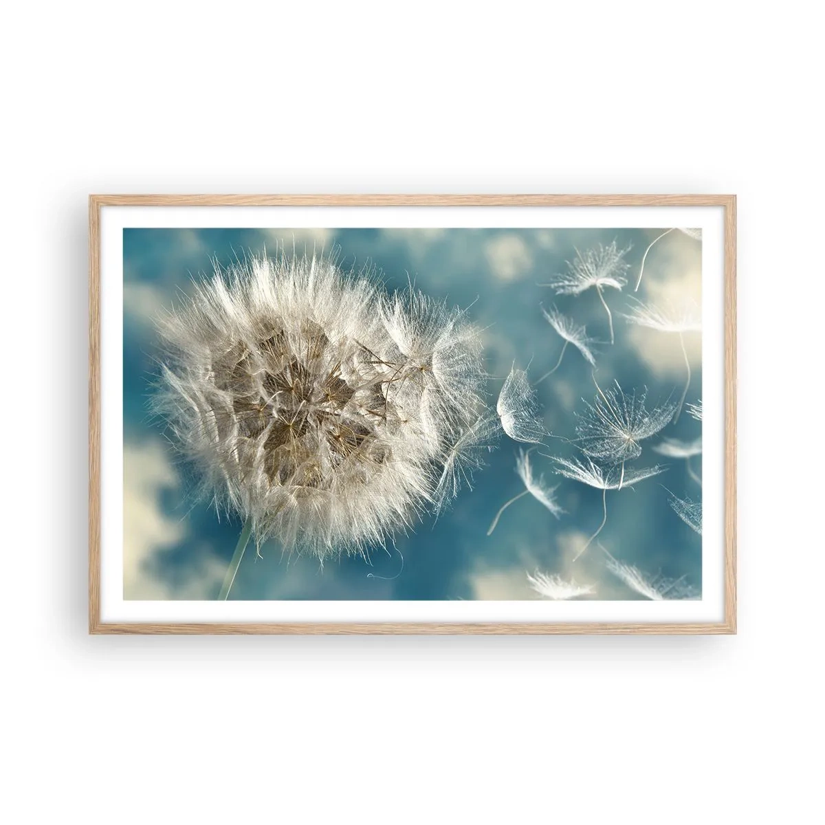 Plakát v rámu světlý dub - Dech anděla - 91x61 cm