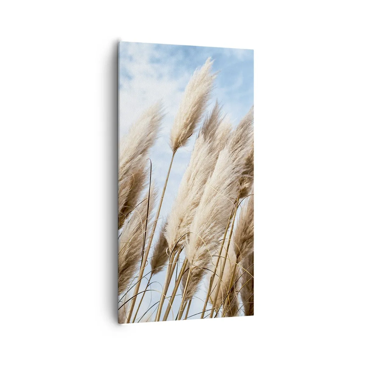 Obraz na plátně - Slunečné a větrné pohlazení - 65x120 cm