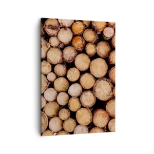 Obraz na plátně - Nový začátek - 50x70 cm