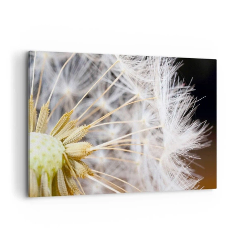 Obraz na plátně - Těsně před odletem - 120x80 cm