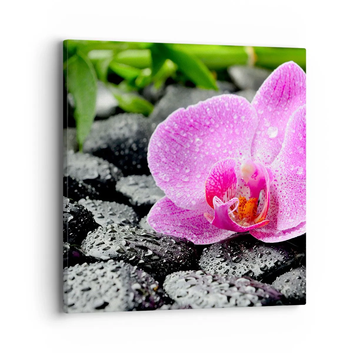 Obraz na plátně - Jako otevřené srdce - 40x40 cm