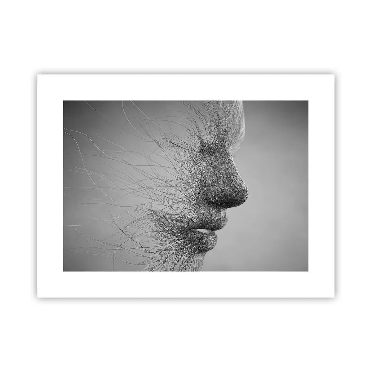 Plakát - Duch větru - 40x30 cm