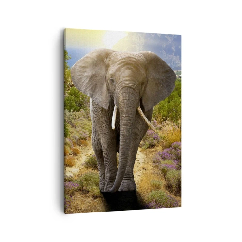 Obraz na plátně - Tak vypadal Ráj - 50x70 cm