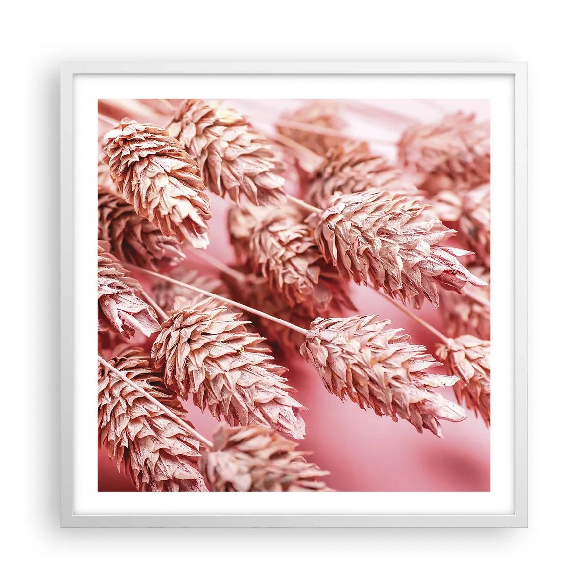 Plakát v bílém rámu - Květinová kaskáda v růžové - 60x60 cm