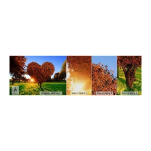 Vzor Fototapety Premium Canvas - Jak nemilovat podzim - Krajina, Strom, Paprsky slunce - 100x30 cm