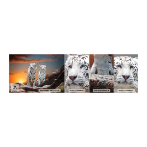 Fototapeta Vzorek Standard Eco - Úplně jako v Narnii - Zvířata, Tygr, Západ slunce - 100x30 cm