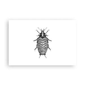 Plakát - Vzorový exemplář! - 91x61 cm