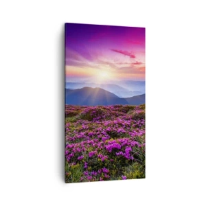 Obraz na plátně - Zavoněly svěží pupeny bylinek z obilných polí - 45x80 cm