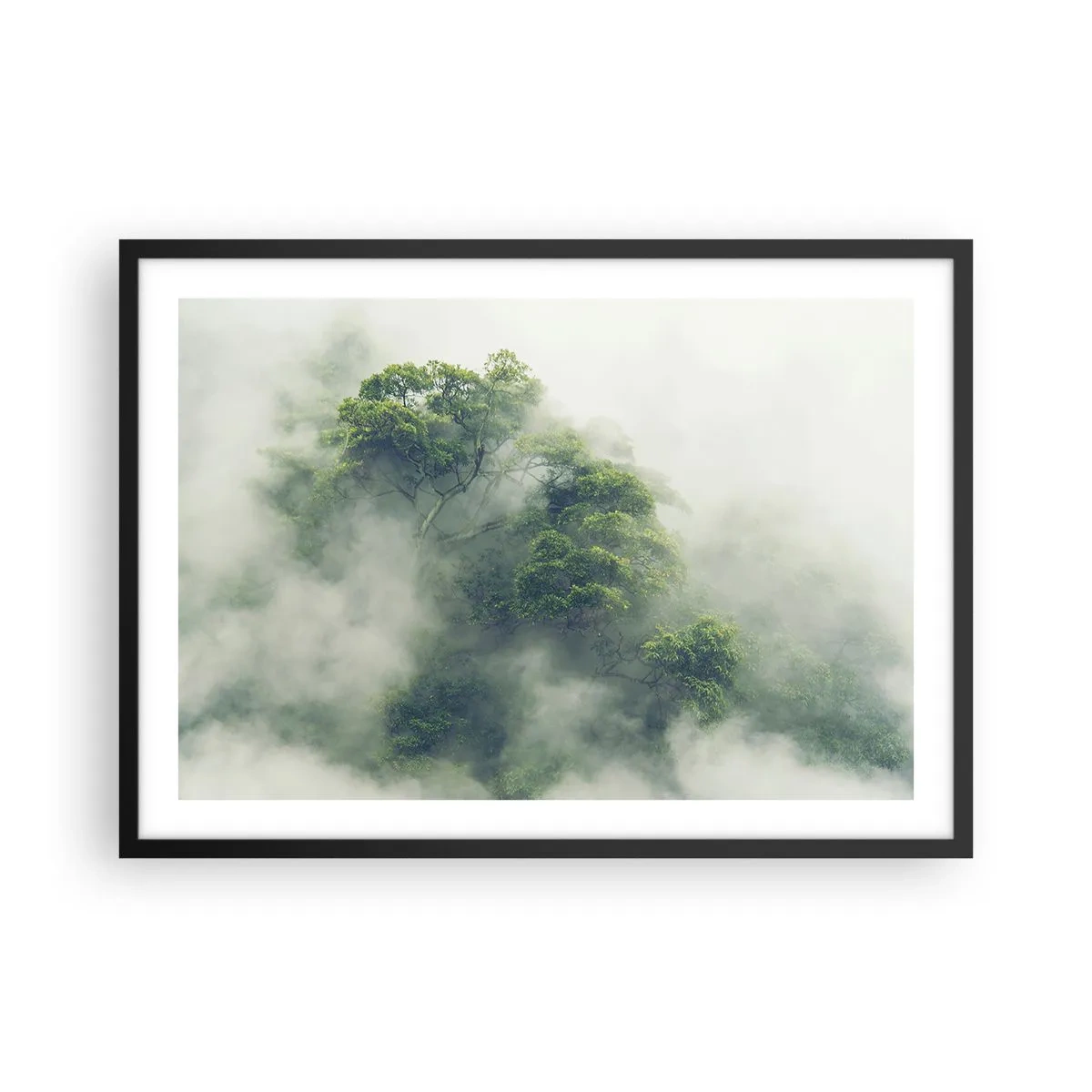 Plakát v černém rámu - Zahalené mlhou - 70x50 cm